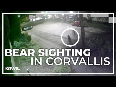 Surveillance camera captures black bear sighting in Corvallis
