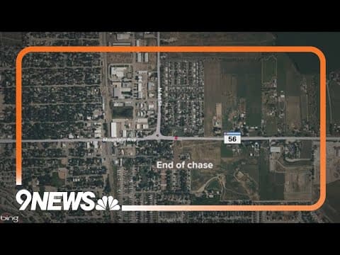 Dog killed in crash after pursuit, driver of suspect vehicle charged