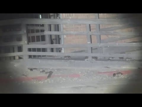 Viral rat videos spark official investigation at Houston apartment complex