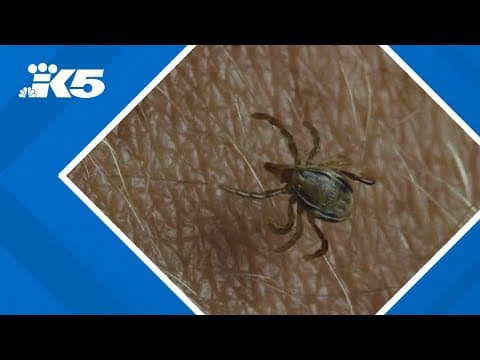 Spike in tick cases in Idaho