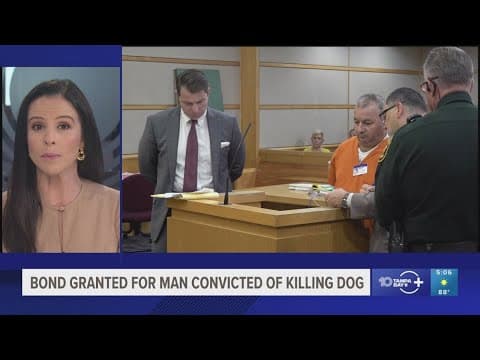 Judge grants bond for man convicted in animal cruelty case that inspired 'Dexter's Law'