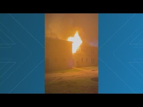 Houston mother of 2 dies in apartment fire while looking for pet cat