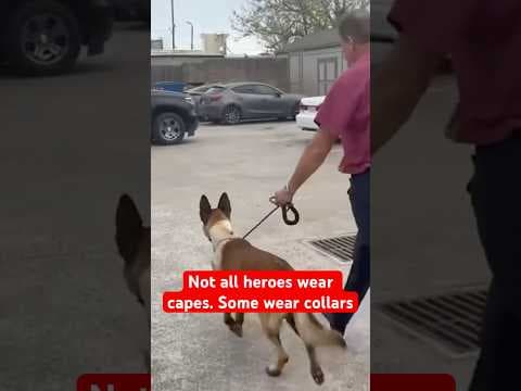 He’s going home! Rocky was shot in the line of duty.