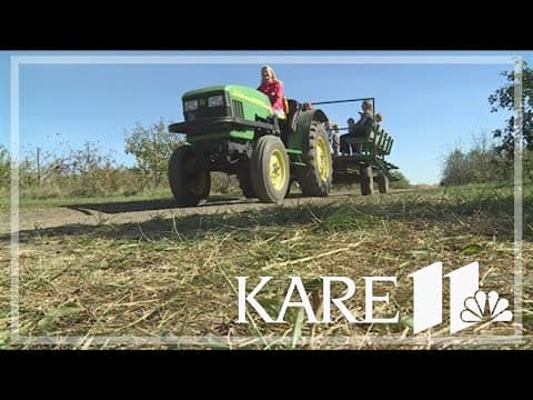 'Staycation' ideas for families looking for affordable activities over MEA break