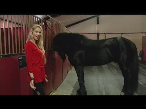 San Diego woman arrested in murder-for-hire plot to kill her husband