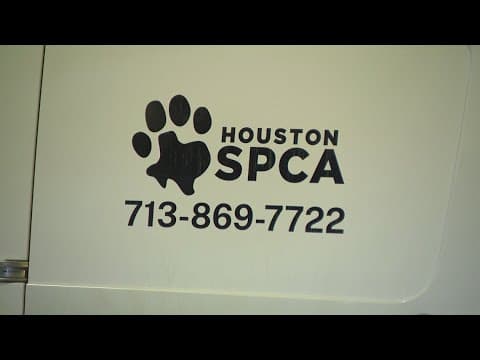 Houston SPCA headed to Tampa, Florida to help in wake of Hurricane Milton