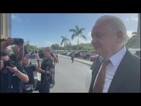 Wikileaks founder Julian Assange pleads guilty to publishing US military secrets