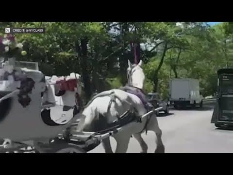 Runaway horse bolts through Central Park after loud scare