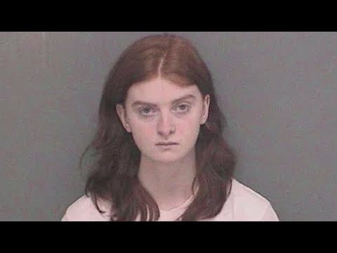 Teen charged after allegedly planning Valentine's Day school shooting inspired by Parkland massacre