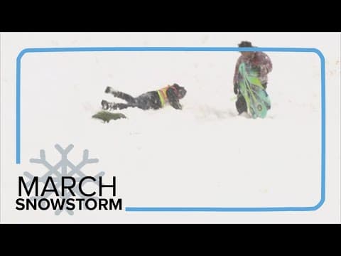 9NEWS reporter wipes out while sledding