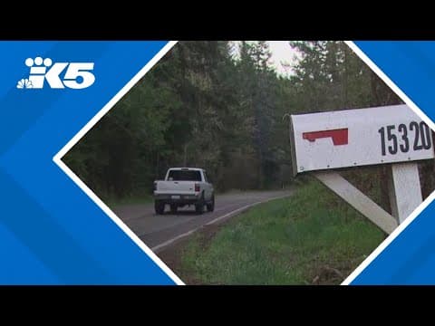 Missing woman, 82, had dinner with handyman before disappearing, authorities say