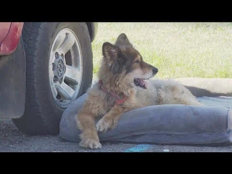 Border32Fire update - Thursday, Sept 1 at NOON | Rescued animals, evacuation center, road closures