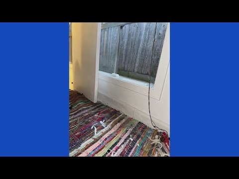 'I think this is somebody important’s house' | Woman caught on camera taking items from Houston home
