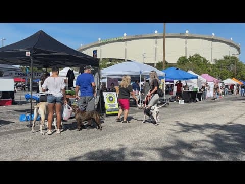 Outdoor market returns to Tropicana Field after being displaced by Hurricanes Helene and Milton