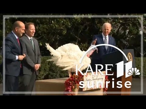 Pardoned turkeys live charmed lives at U of M
