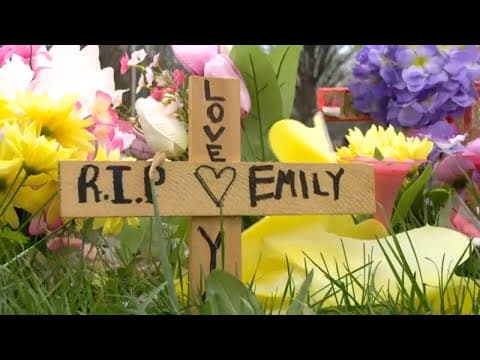 Push for justice after Indianapolis hit-and-run crash