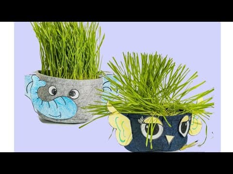 STEM learning through Fall gardening with Hortiki Plants