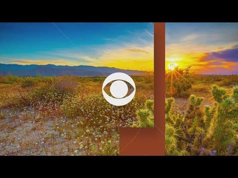 San Diego top stories for July 12 at 6 a.m.