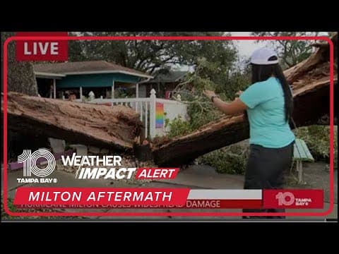 Gulfport sees split, downed trees after Milton