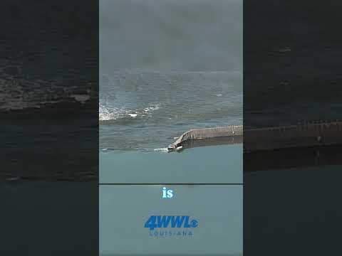 The Katrina Alert That Stunned Meteorologists | WWL-TV Archive Interview