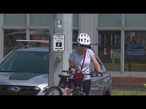 Task force unveils Vision Zero action plan