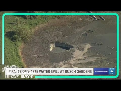 Wastewater from Busch Gardens sinkhole could end up in Tampa Bay, but experts aren't worried