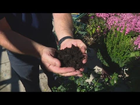 Ready, Set, Grow with Pat Sullivan: Tips for fall planting