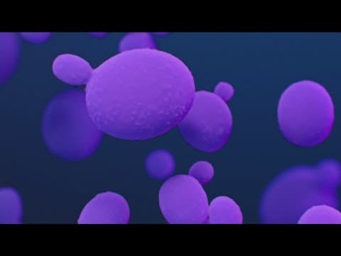 CDC warns of deadly fungus spreading at alarming rate