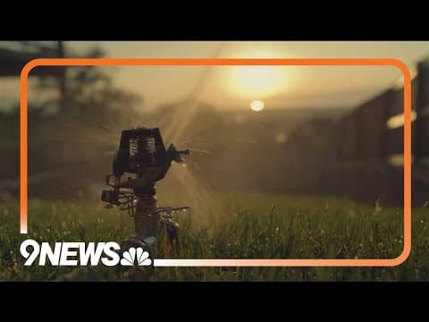 New landscaping law helping to conserve water