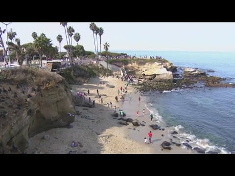 Efforts to make La Jolla a city of its own gain momentum
