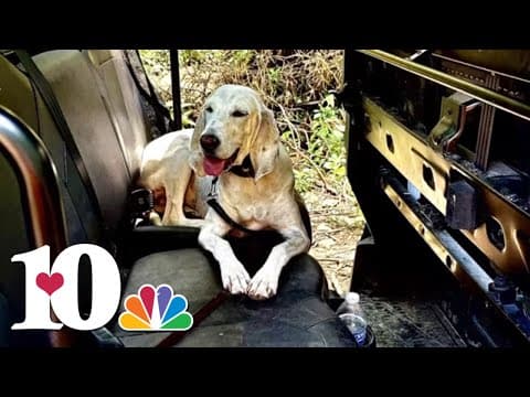 KPD K-9 returns after searching for last remaining Camp Mystic child lost in Texas flooding