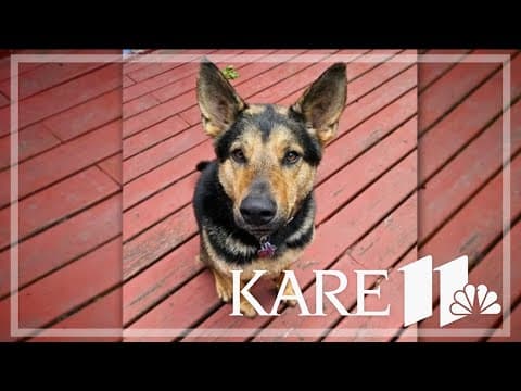 Your Good News: Suzee MacDonald, Debi Bordeau, Margaret Semrud-Clikeman