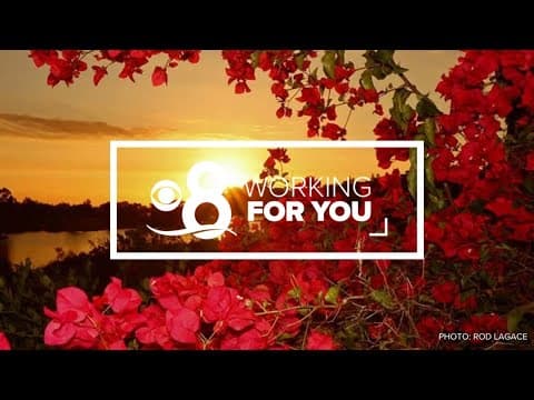 Working For You | Stories of the San Diego community (July 25)