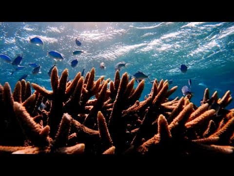 A Force of Nature, A Lifetime of Greatness Worth Celebrating | San Diego Living