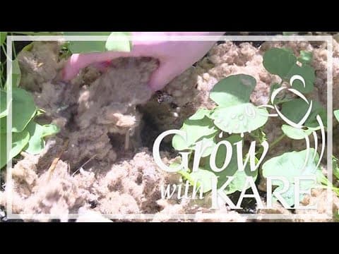 Grow with KARE: Alternatives to wood mulch