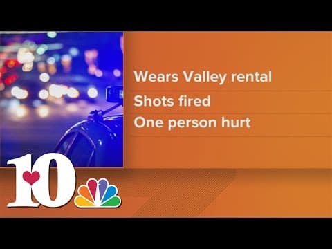 SCSO gives new details on shooting at rental cabin on Teaberry Mountain Lane in Wears Valley