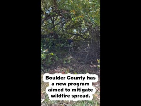 Boulder County has a new program to mitigate risk of wildfire spread