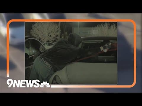 Tesla dealership vandalism suspect arrested with explosives, police say