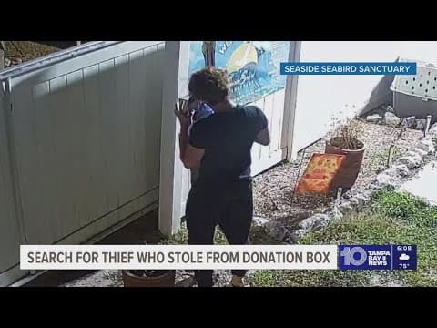 Seaside Seabird Sanctuary looking for person who stole from donation box