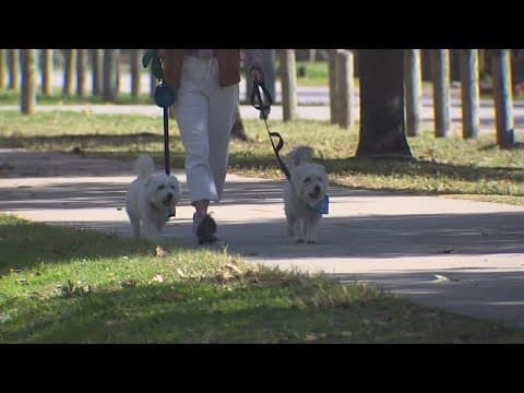 Preparing your pets for freezing weather