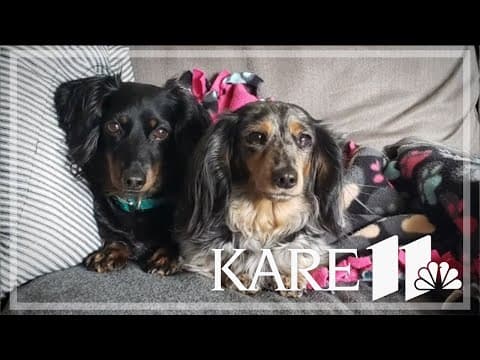 Your Good News: Barbara Heckmann, Sherry, Tracy, Gregg Chirhart