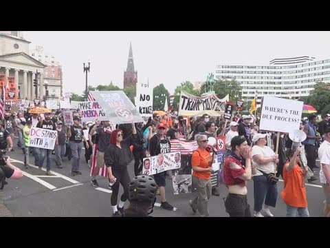 Hundreds of protesters came out in opposition to the parade