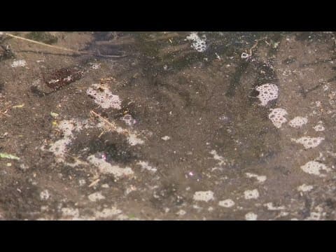 This Houston man's yard unexpectedly had holes dug in it. Now, there’s water bubbling from the holes