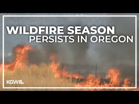 How the state is tackling over 20 active wildfires burning across Oregon
