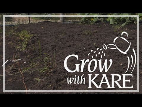 Grow with KARE: The two things to consider when planting now for a fall harvest