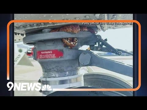 Snake caught snoozing on Coast Guard helicopter