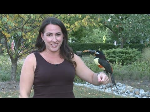'My toucan is stuck..' | Arlington County firefighters rescue Chester from behind a dishwasher