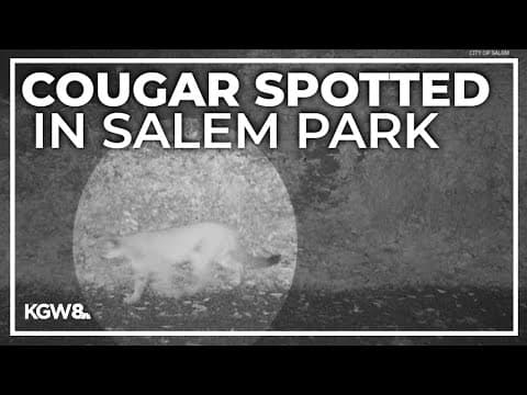 Officials warn visitors of cougar in Salem's largest park