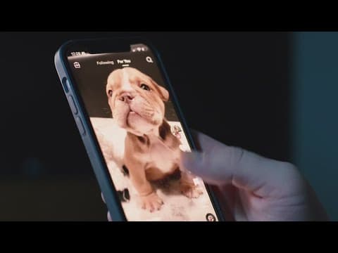 US DOJ says China's use of TikTok could influence upcoming elections