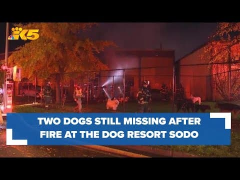 Two dogs missing after fire at The Dog Resort SODO
